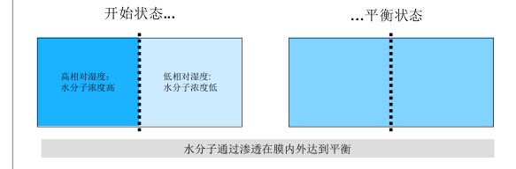 高分子膜水分子擴散